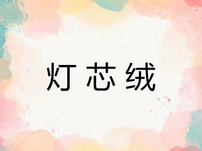 灯芯绒