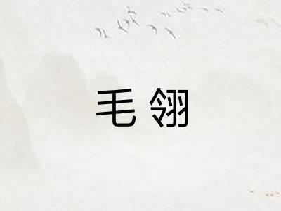 毛翎 毛翎