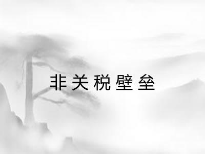 非关税壁垒 非关税壁垒