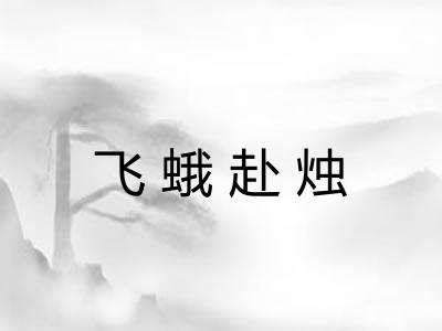 飞蛾赴烛 飞蛾赴烛