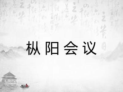 枞阳会议 枞阳会议