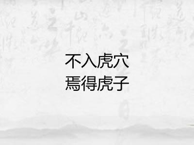 不入虎穴焉得虎子 不入虎穴焉得虎子