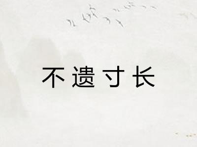 不遗寸长 不遗寸长