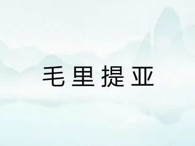 毛里提亚 毛里提亚