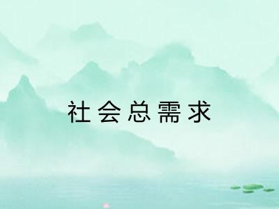 社会总需求