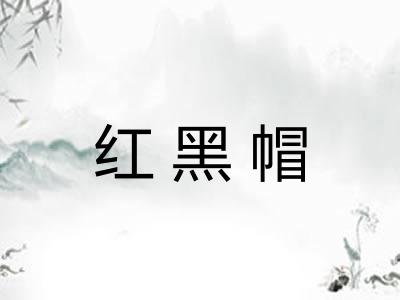 红黑帽 红黑帽