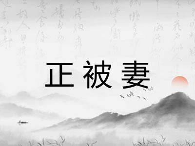 正被妻 正被妻