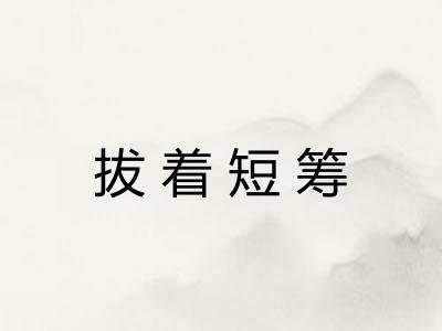 拔着短筹 拔着短筹