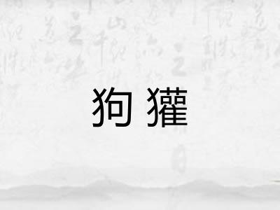 狗獾 狗獾