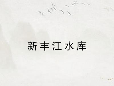 新丰江水库 新丰江水库