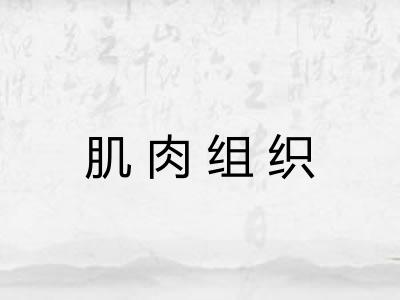 肌肉组织 肌肉组织