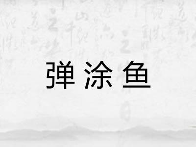弹涂鱼 弹涂鱼