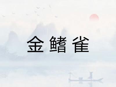 金鳍雀 金鳍雀
