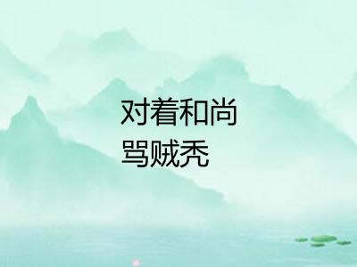 对着和尚骂贼秃 对着和尚骂贼秃