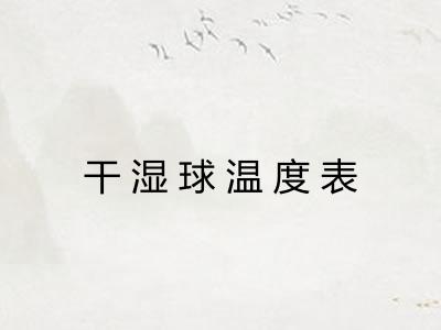 干湿球温度表 干湿球温度表