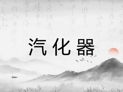 汽化器 汽化器