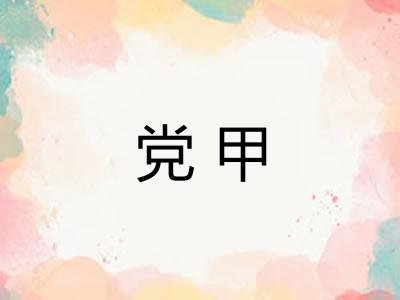 党甲