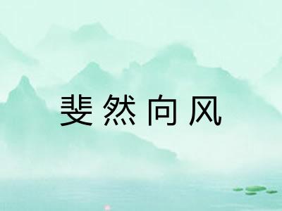 斐然向风 斐然向风