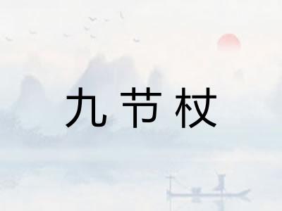 九节杖