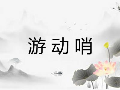 游动哨 游动哨
