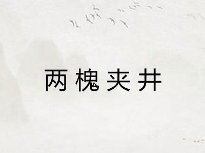 两槐夹井 两槐夹井