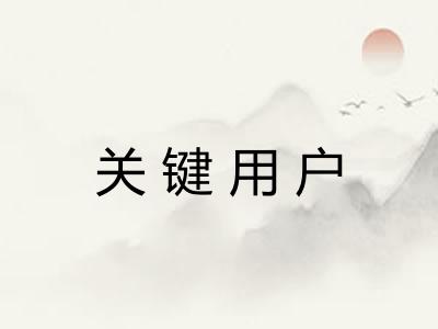关键用户 关键用户