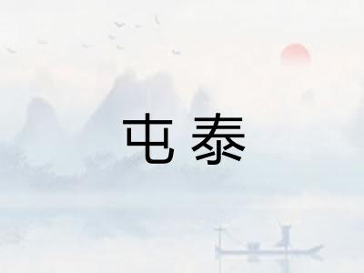 屯泰