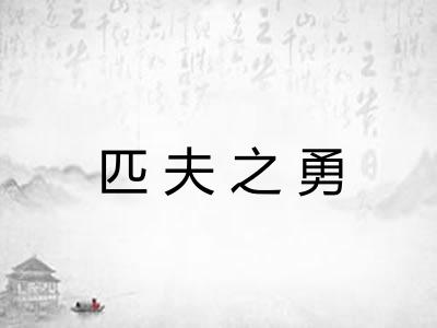 匹夫之勇 匹夫之勇