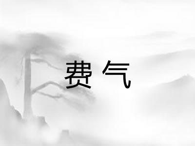 费气 费气