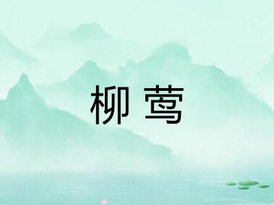 柳莺 柳莺