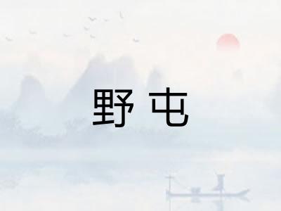 野屯 野屯