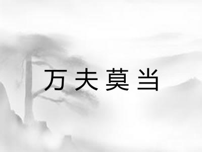 万夫莫当 万夫莫当