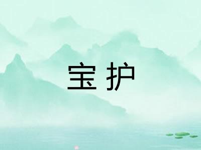 宝护