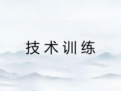 技术训练 技术训练