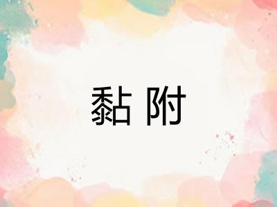 黏附 黏附