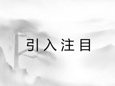 引入注目 引入注目