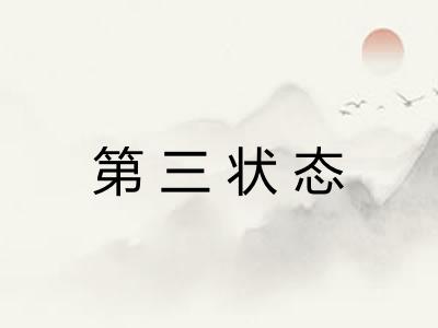 第三状态 第三状态