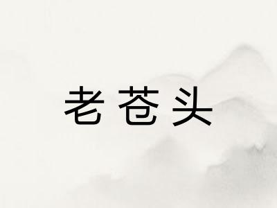 老苍头 老苍头