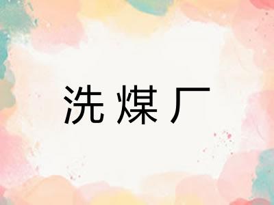 洗煤厂 洗煤厂