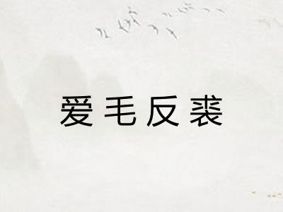 爱毛反裘 爱毛反裘