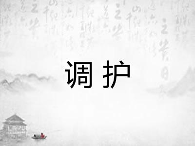 调护