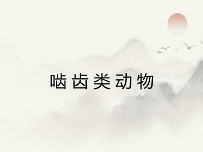 啮齿类动物 啮齿类动物