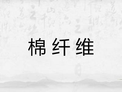 棉纤维 棉纤维