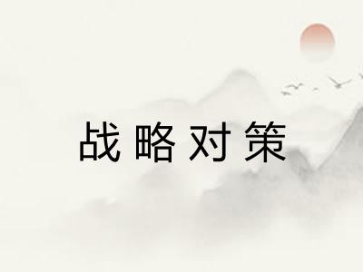 战略对策 战略对策