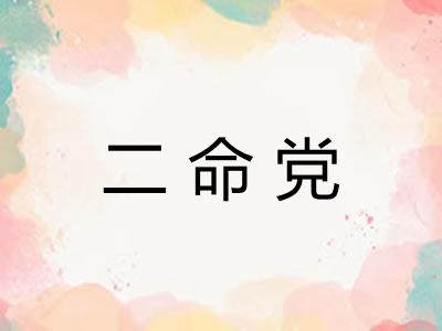 二命党 二命党