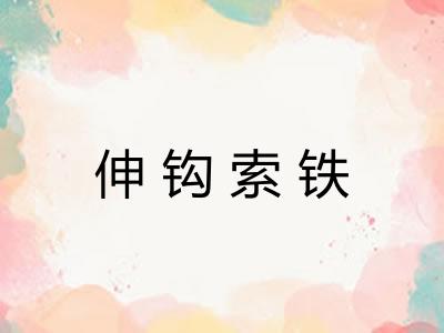 伸钩索铁 伸钩索铁