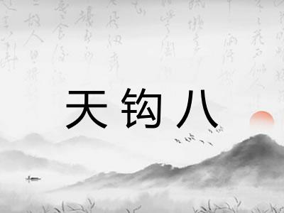 天钩八