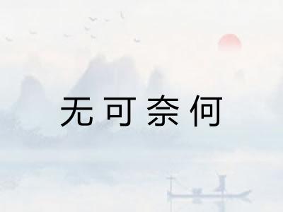 无可奈何 无可奈何