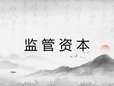 监管资本 监管资本