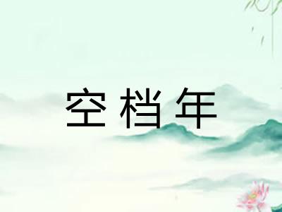 空档年